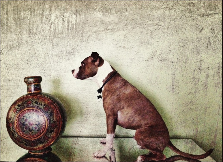 Dog with Green Vase
