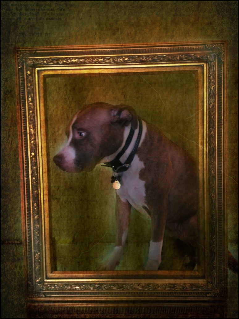Dog with Gilded Frame