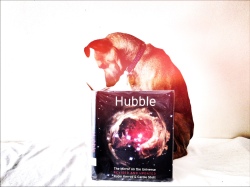 Hubble Holga